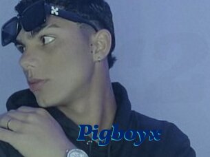 Pigboyx