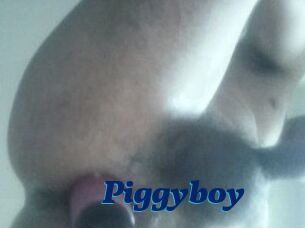 Piggyboy