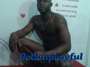 Pollonplayful