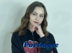 Portiagee