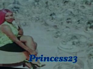 Princess23