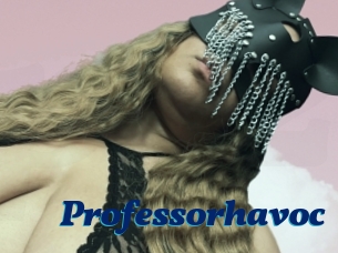 Professorhavoc