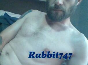 Rabbit747