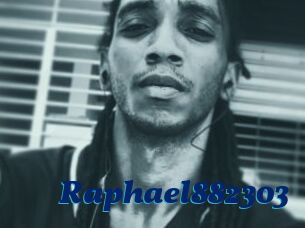 Raphael882303