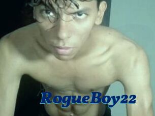 RogueBoy22