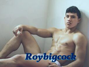 Roybigcock