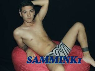 SAMMINK1