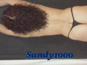 Sandy1000