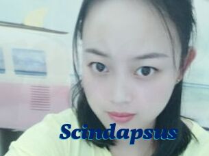 Scindapsus