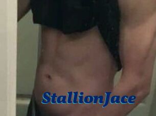 StallionJace