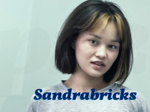 Sandrabricks