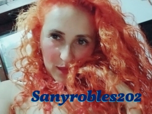 Sanyrobles202