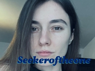 Seekeroftheone