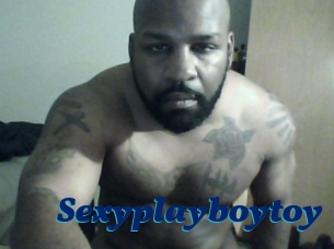 Sexyplayboytoy