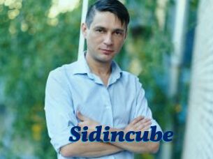 Sid_incube