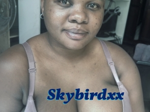 Skybirdxx