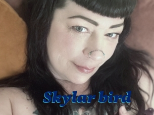 Skylar_bird