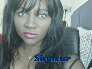 Skyleur