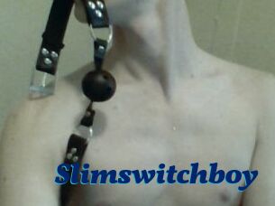 Slimswitchboy