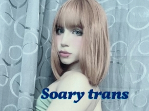 Soary_trans