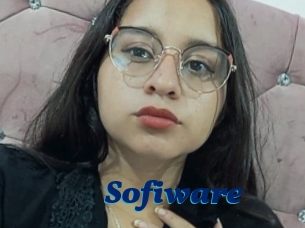 Sofiware