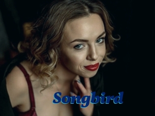 songbird Px 24