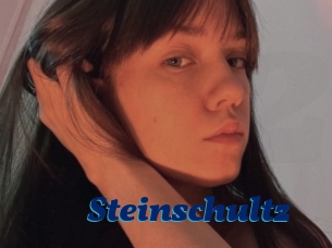 Steinschultz