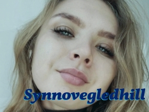 Synnovegledhill