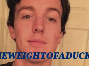 THEWEIGHTOFADUCK