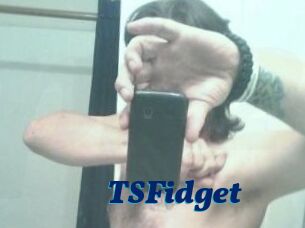 TSFidget