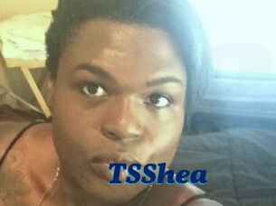 TS_Shea