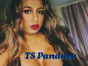 TS_Pandora