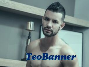 TeoBanner