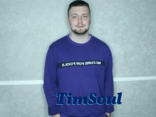 TimSoul