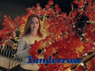 Tanderrose