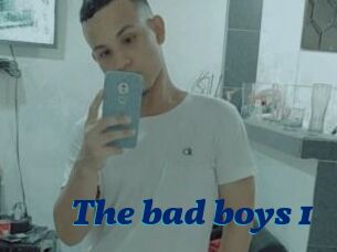 The_bad_boys_1