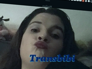 Transbibi