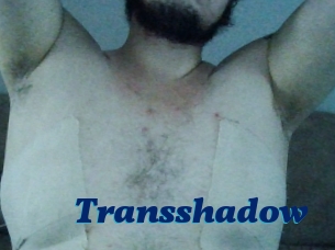 Transshadow