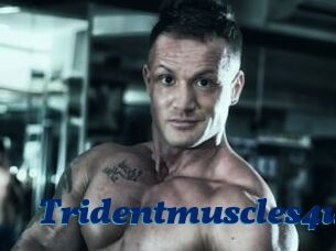 Tridentmuscles4u