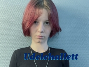 Udelehallett