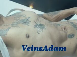 VeinsAdam