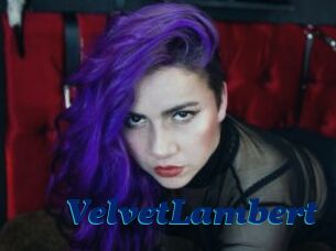 VelvetLambert