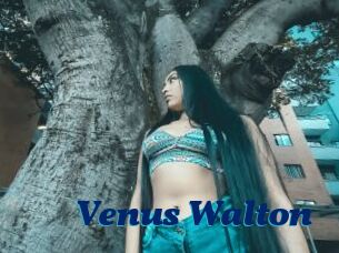 Venus_Walton