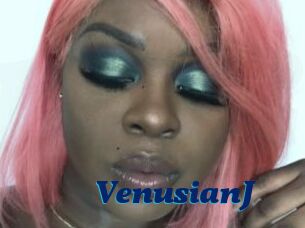 VenusianJ