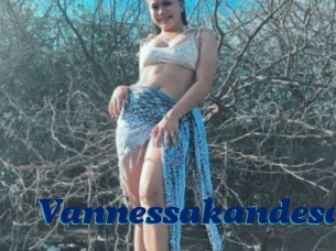 vannessakandesa Px 24