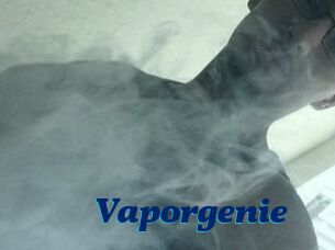 Vapor_genie