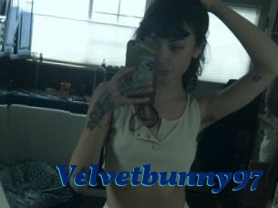 Velvetbunny97