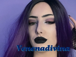 Venenadivina