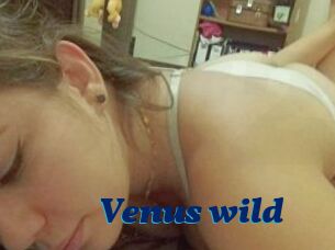 Venus_wild