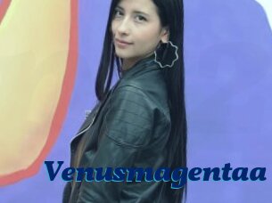 Venusmagentaa